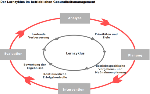 Der Lernzyklus im betrieblichen Gesundheitsmanagement