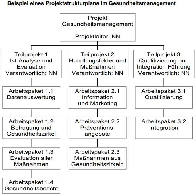 Beispiel eines Projektstrukturplans im Gesundheitsmanagement