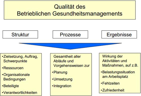 Evaluation der Qualität des Betrieblichen Gesundheitsmanagements